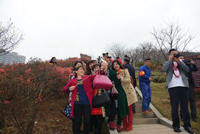 湖南省家具行業(yè)協(xié)會(huì),家具行業(yè)協(xié)會(huì),家具行業(yè)